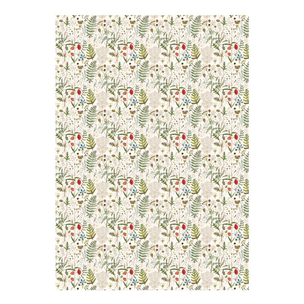 Бумага упаковочная "Flora. Луговые травы" мелов., 70*100см, рулон 2-811/01 Bruno Visconti