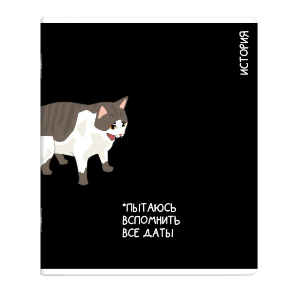 Тетрадь предметная 48л А5+ История "Коты мемы" клетка, картон 69823 Феникс+