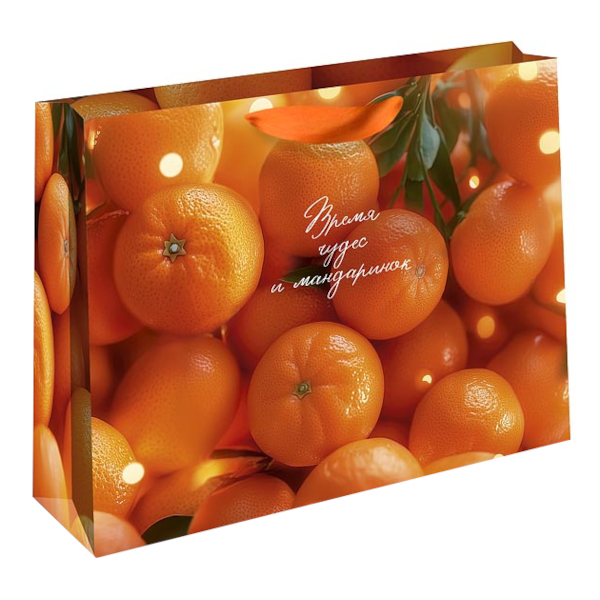 Пакет бумажный 26*32*12см "Время чудес и мандаринок" 1322.917 Арт Дизайн