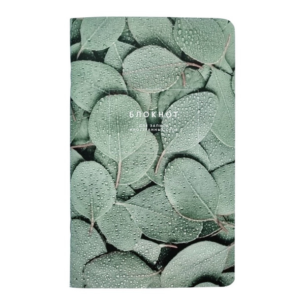 Тетрадь-словарик Для записи иностранных слов А5- 48л "Botanica.Эвкалипт популус" карт N4126 Be Smart