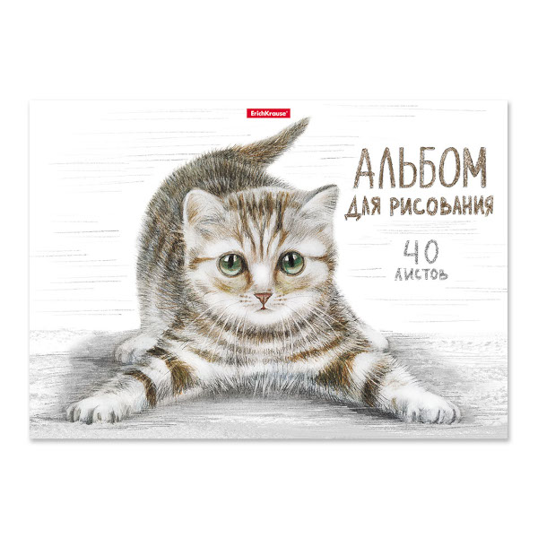 Альбом для рис 40л А4 "Полосатый кот" 120г/м2, склейка, мел.карт., подлож. 49844 Erich Krause