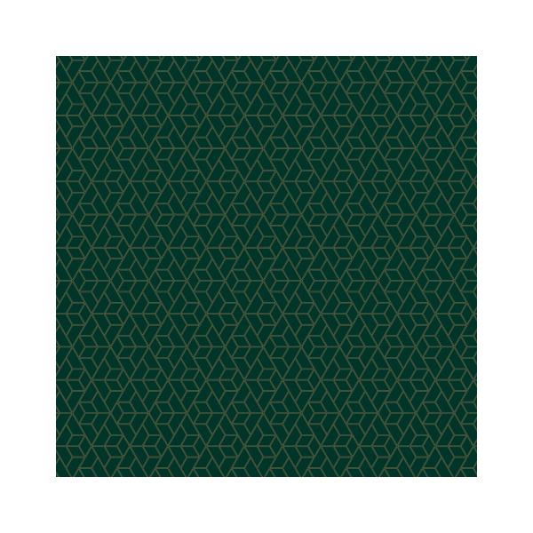 Бумага упаковочная "Dark green" глянц., 70*100см, рулон, М100_41102 MESHU