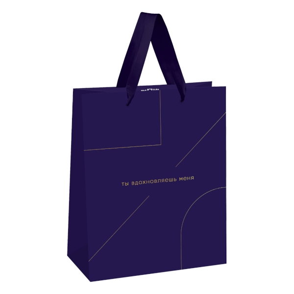 Пакет бумажный 23*18*10см "Monocolor. Indigo" MS_51867 MESHU