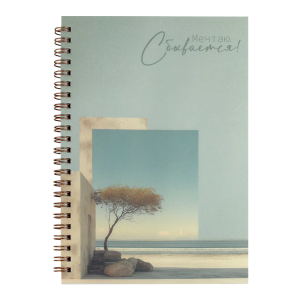 Записная книга А5 60л "Мечтаю, сбывается" клетка, гребень, палстик.обл. 73727 Феникс+