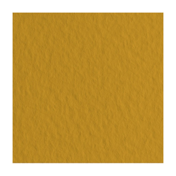 Бумага для пастели Fabriano "Tiziano" 160г/м2 (40%хлопок) 50*65см песочный 1лист