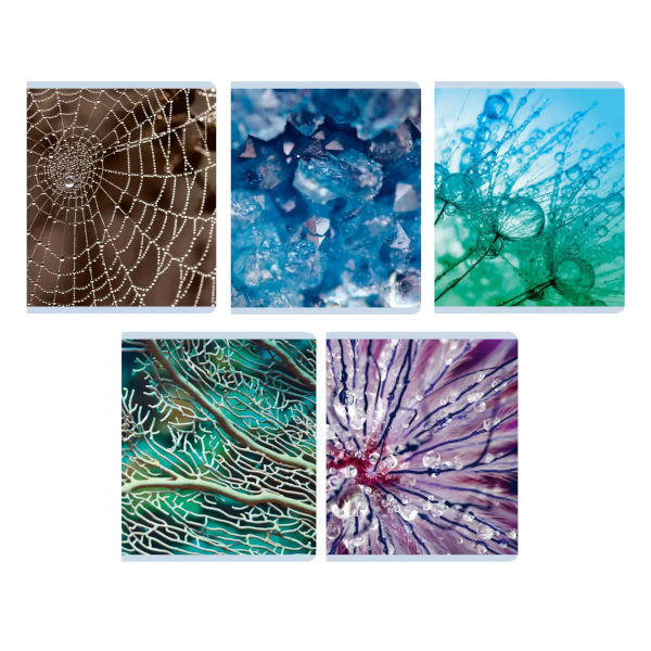 Тетрадь 96л А5 клетка "Красота в деталях" картон, ассорти ТК968544 Listoff