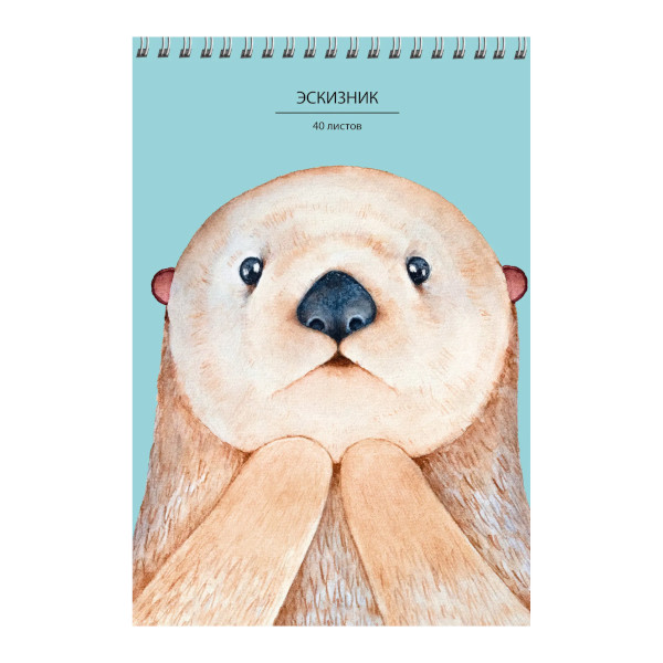 Скетчбук для графики и письма А5 40л, 80г/м2, гребень "Эскизник. Дизайн 1" БС30168 Paper Art