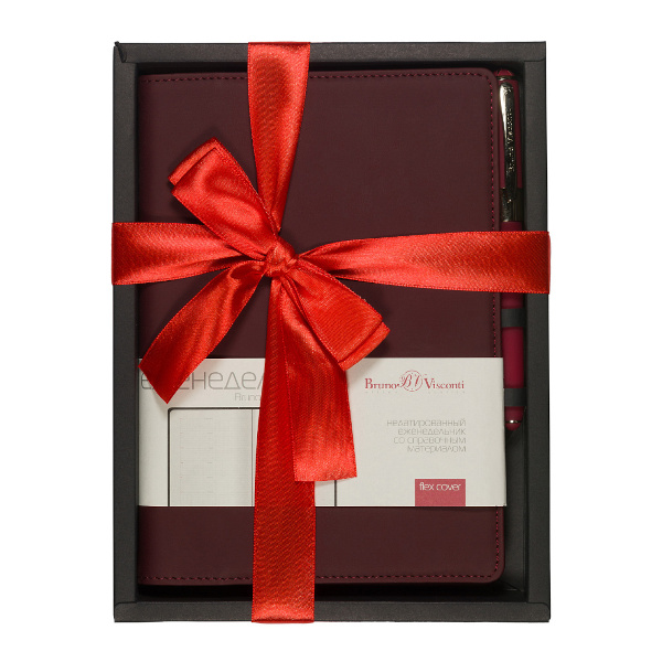 Набор подарочный Bruno Visconti "Concept" (еженед.А5, не дат, гребень, бордовый, ручка) 3-322/02-2