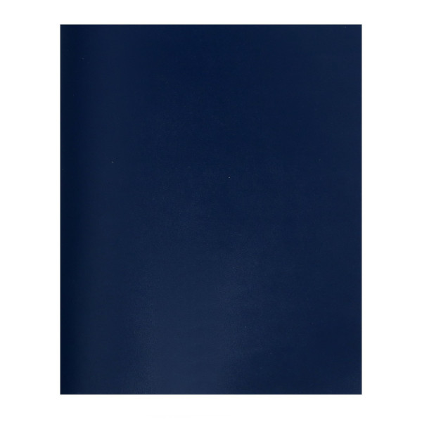 Тетрадь 96л А5 клетка "Эконом" бумвинил, синий 6977309 Calligrata