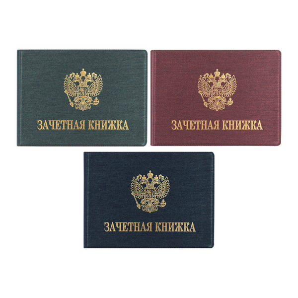 Обложка для зачётной книжки, прозрачная 118*315мм ДПС 3251