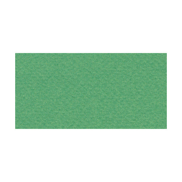 Бумага для пастели Fabriano "Tiziano" 160г/м2 (40%хлопок) 50*65см зеленый 1лист