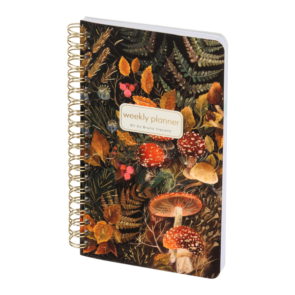 Еженедельник не дат А5- Bruno Visconti "Forest fairy tale" 72л, тв.обл., картон, гребень 3-816/07