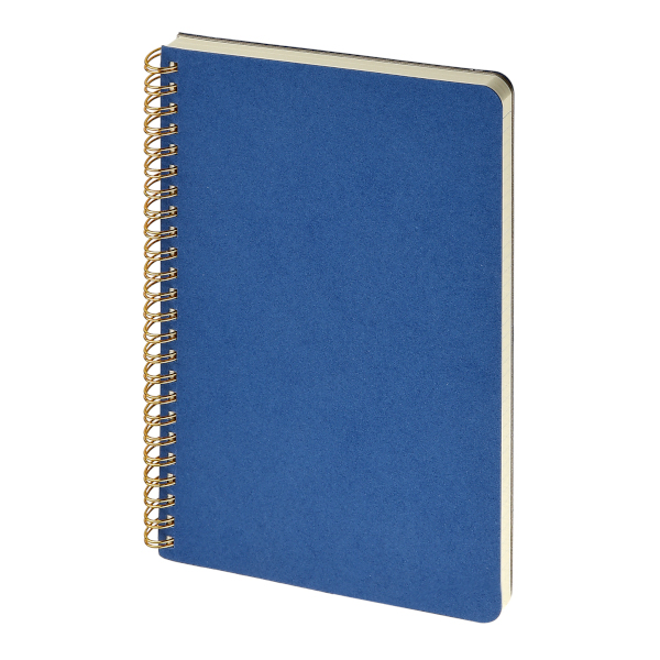 Тетрадь 100л А4 клетка/гребень "Pragmatic" картон, синий 7-100-1374/07 Bruno Visconti