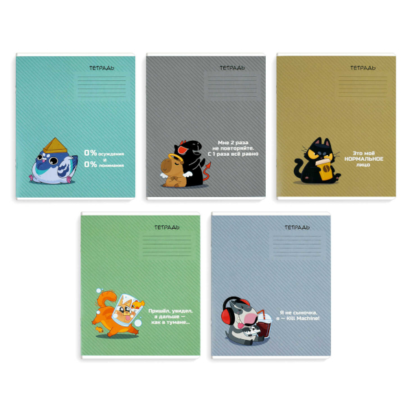 Тетрадь 12л А5+ линейка "Герои с характером" картон, ассорти 70904 Феникс+