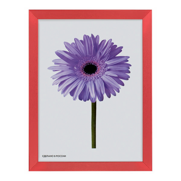 Фоторамка 10*15 пластик, багет 13мм, красный, вставка пластик, ножка "Stella" 5-41954 Метрика