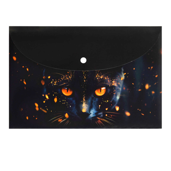 Папка-конверт на кнопке А4, 1отд., 180мкм, рисунок "Кот-маг" 69006 Феникс+