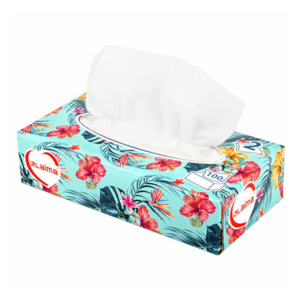 Салфетки бумажные Laima "Everyday" 2-слойн., белые, 100шт (20*20см) 113588