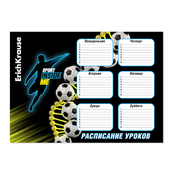 Расписание уроков А3 "ДНК спорта" мел. картон 61938 Erich Krause